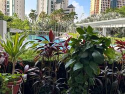 The Metropolitan Condominium (D3), Condominium #543051591